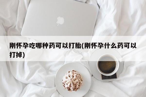 药流药货到付款刚怀孕吃哪种药可以打胎(刚怀孕什么药可以打掉)