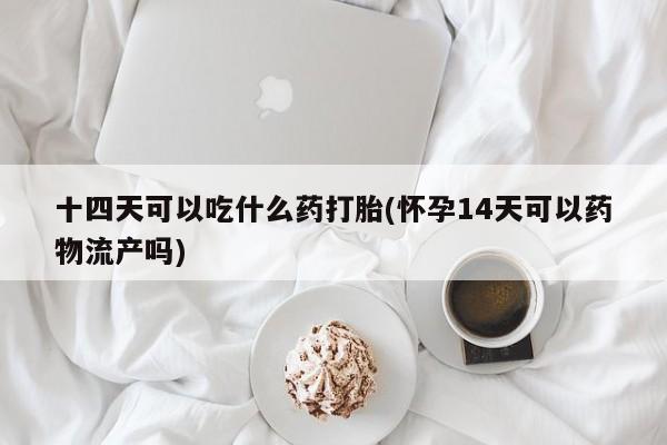 药流药货到付款十四天可以吃什么药打胎(怀孕14天可以药物流产吗)